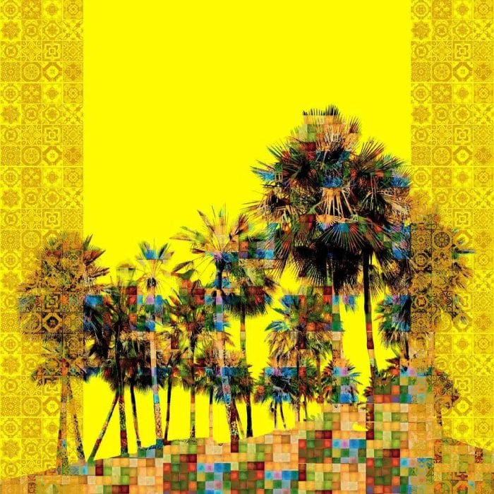 Palm Oasis