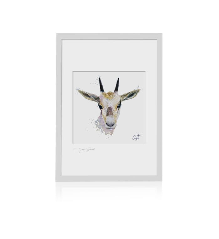 oryx FRAMED scaled 1