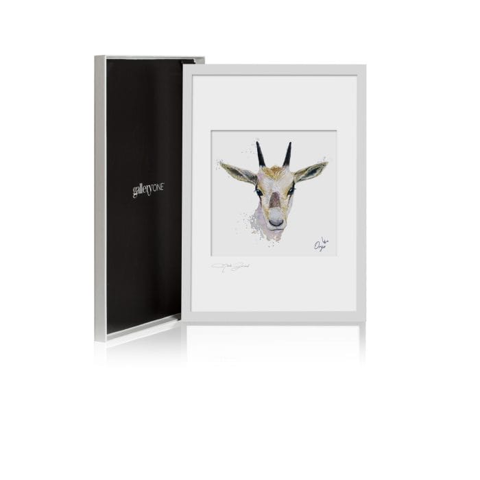 oryx beside box scaled 1